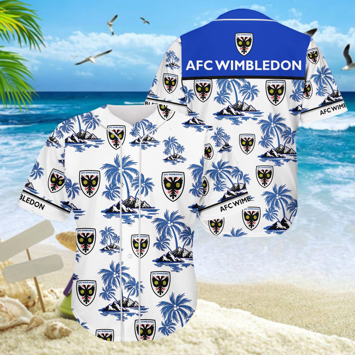 AFC Wimbledon WINQ1284
