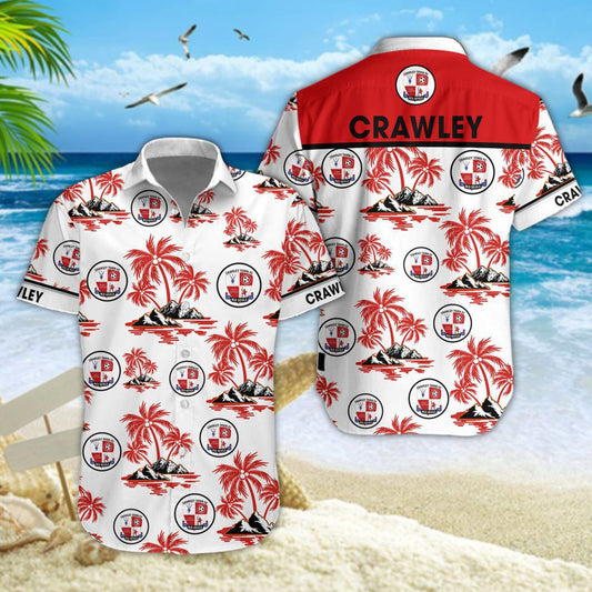 Crawley Town WINQ1312