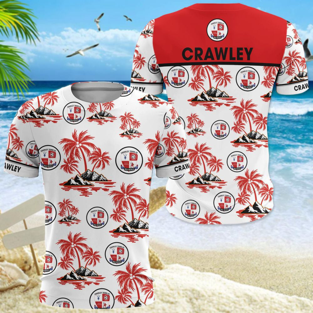 Crawley Town WINQ1312