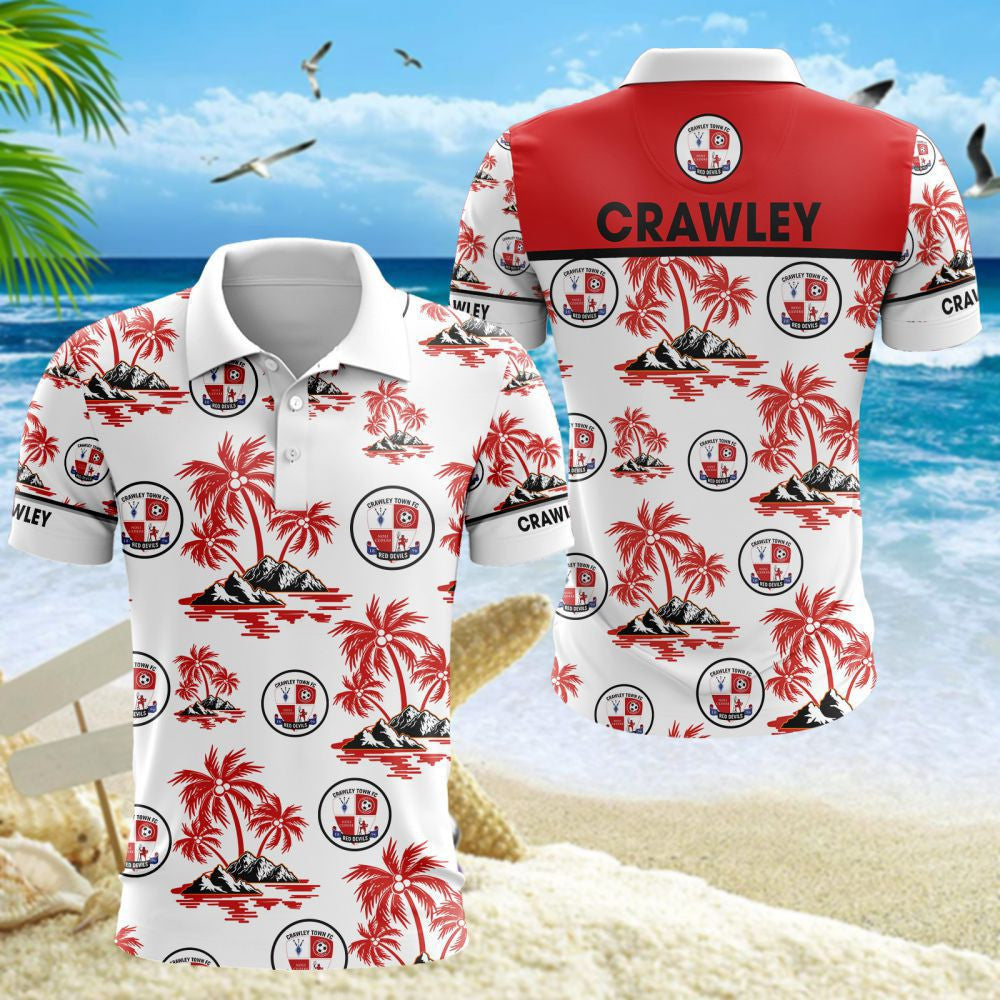 Crawley Town WINQ1312