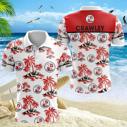Crawley Town WINQ1312