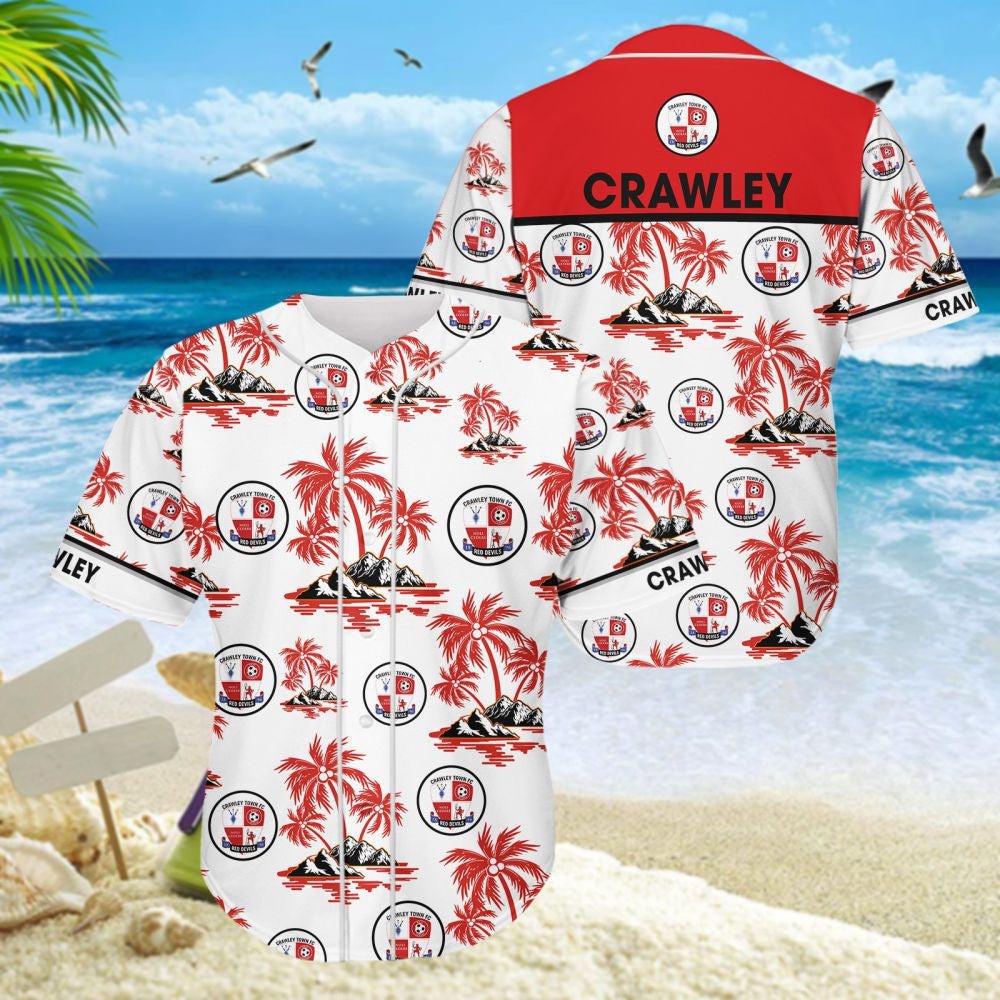 Crawley Town WINQ1312