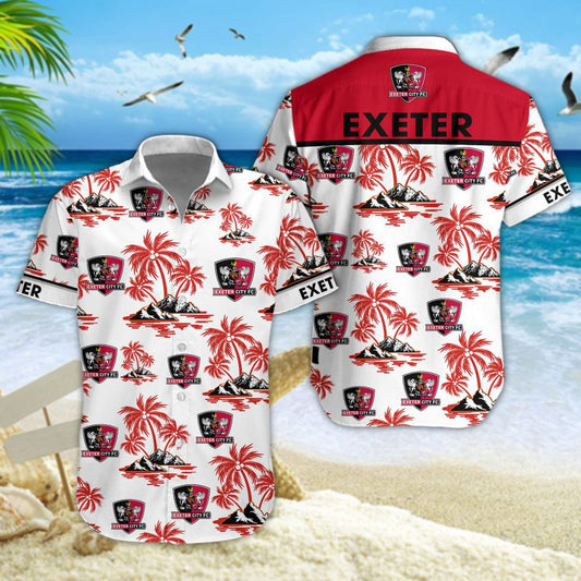 Exeter City WINQ1313