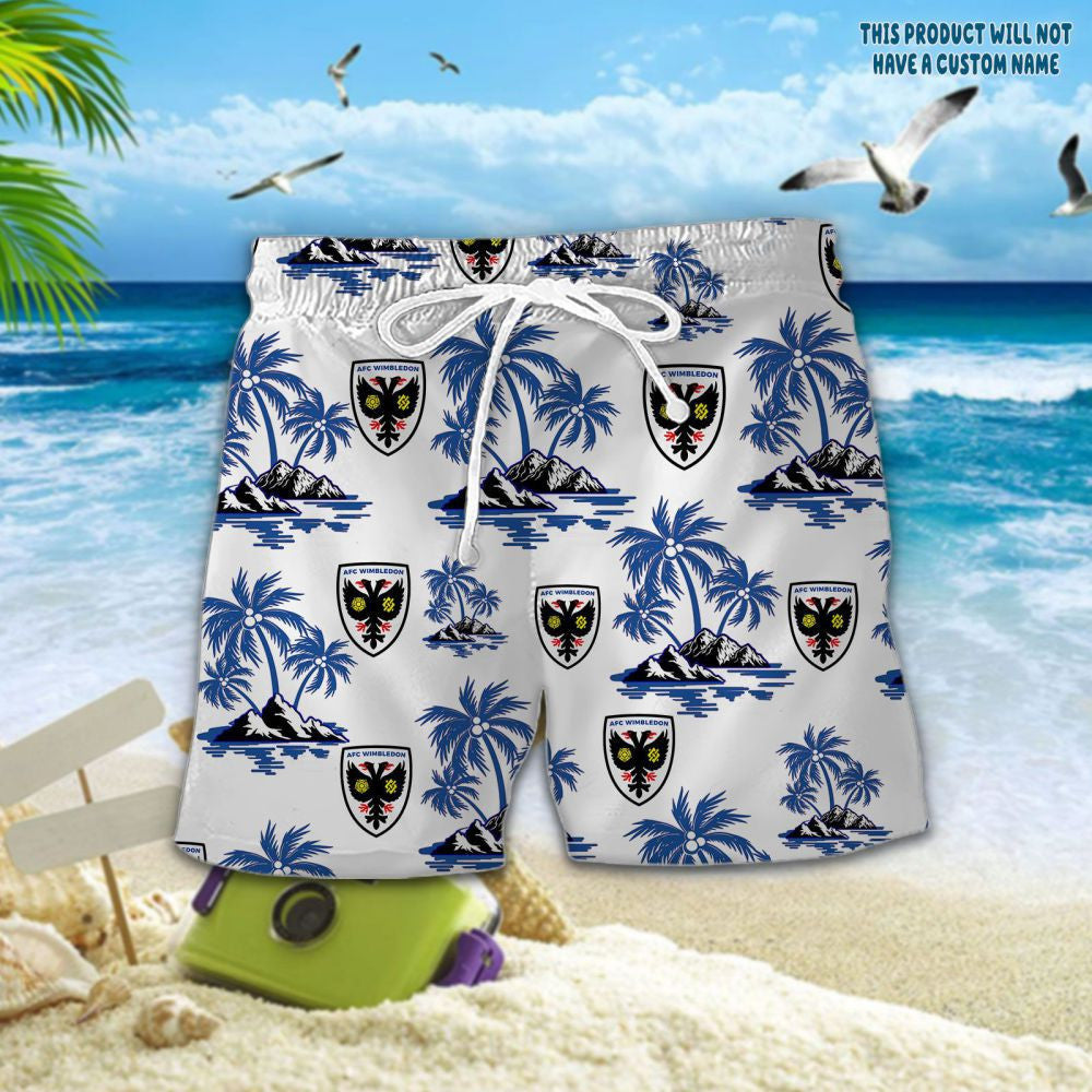 AFC Wimbledon WINQ2669