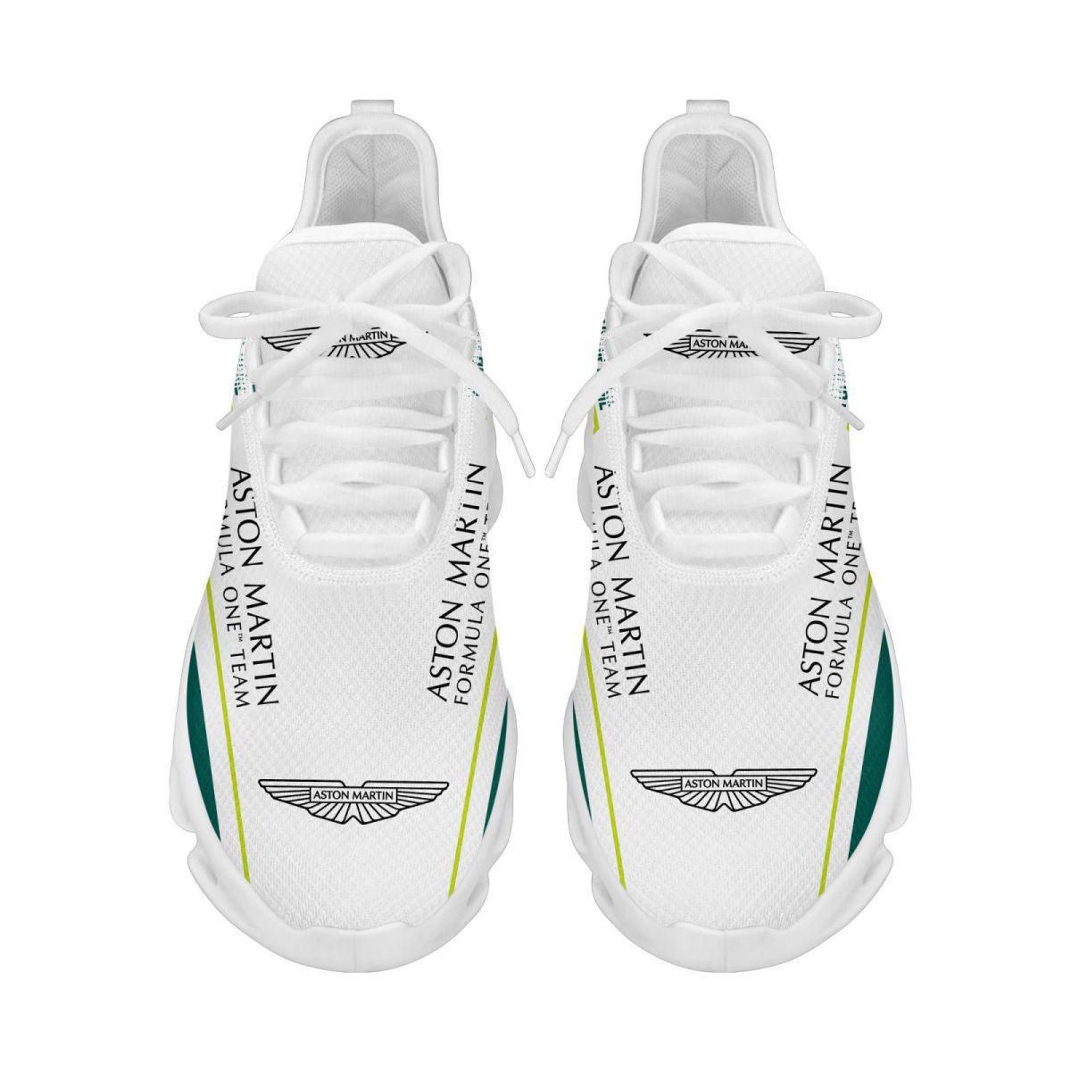 Aston Martin Cognizant F1 Team WINSG5270