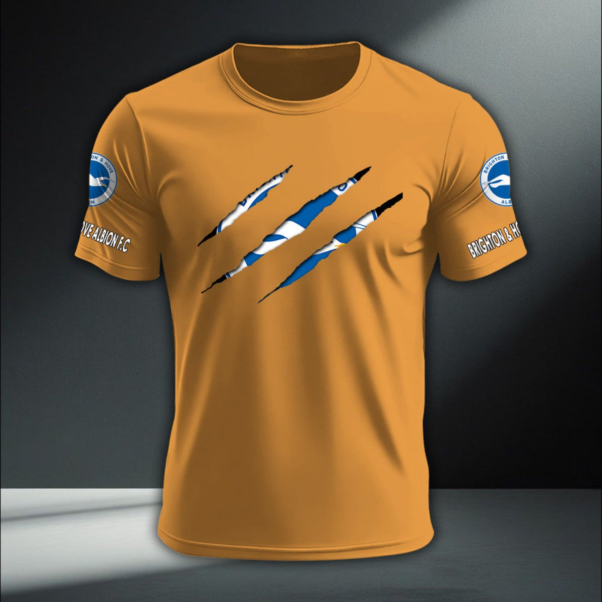 Brighton & Hove Albion DTNA410200