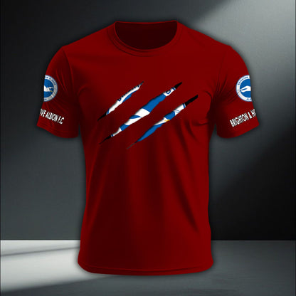 Brighton & Hove Albion DTNA410200