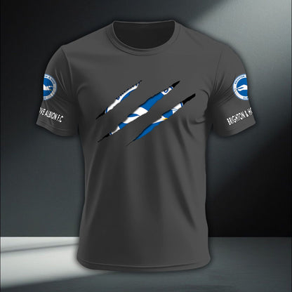 Brighton & Hove Albion DTNA410200