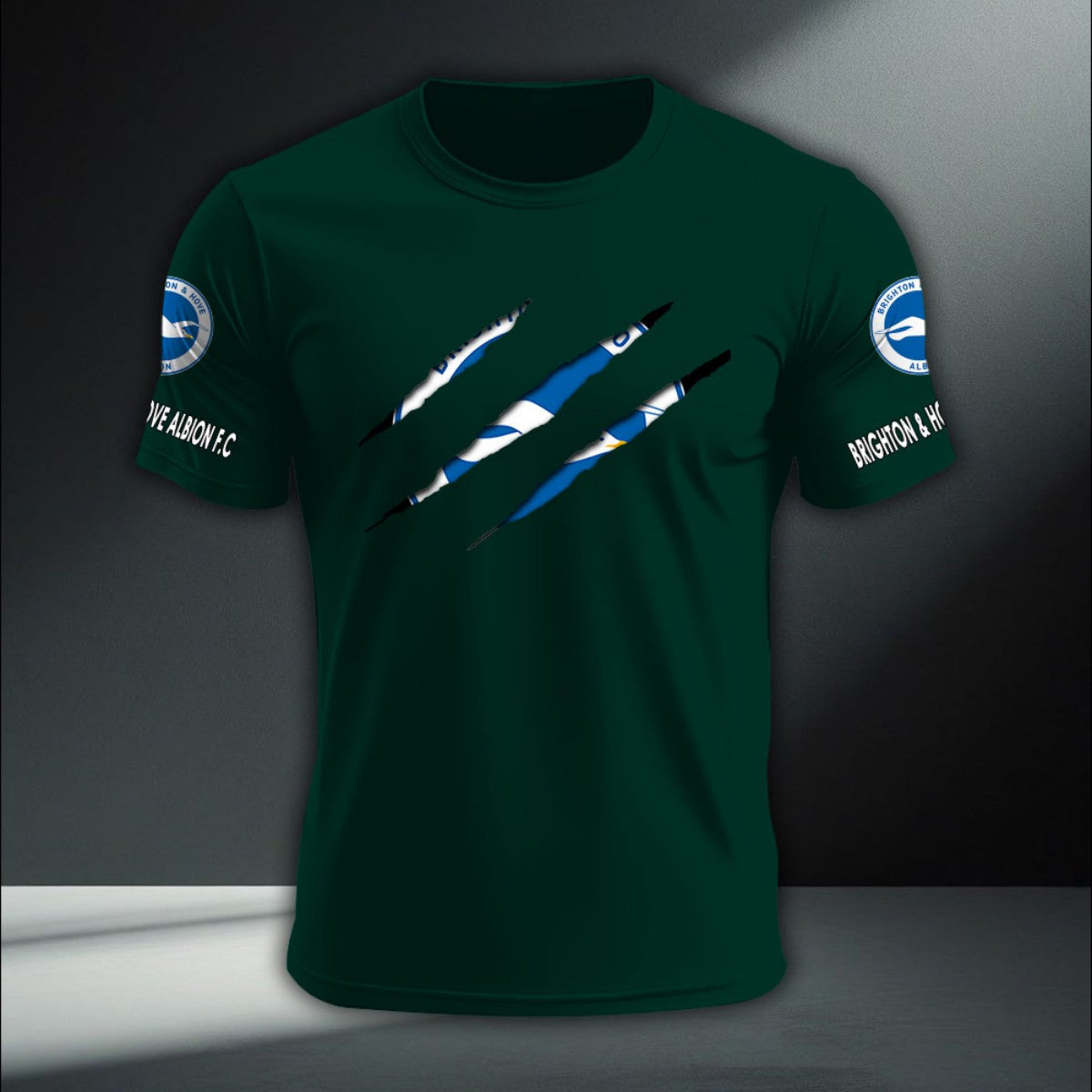 Brighton & Hove Albion DTNA410200