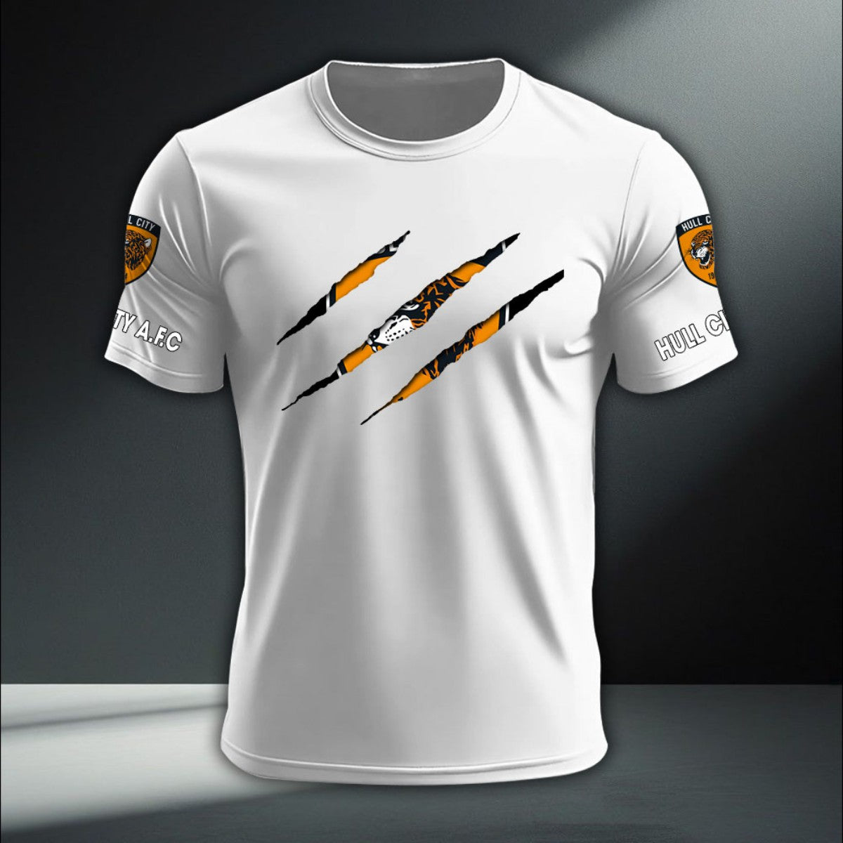 Hull City DTNA410222