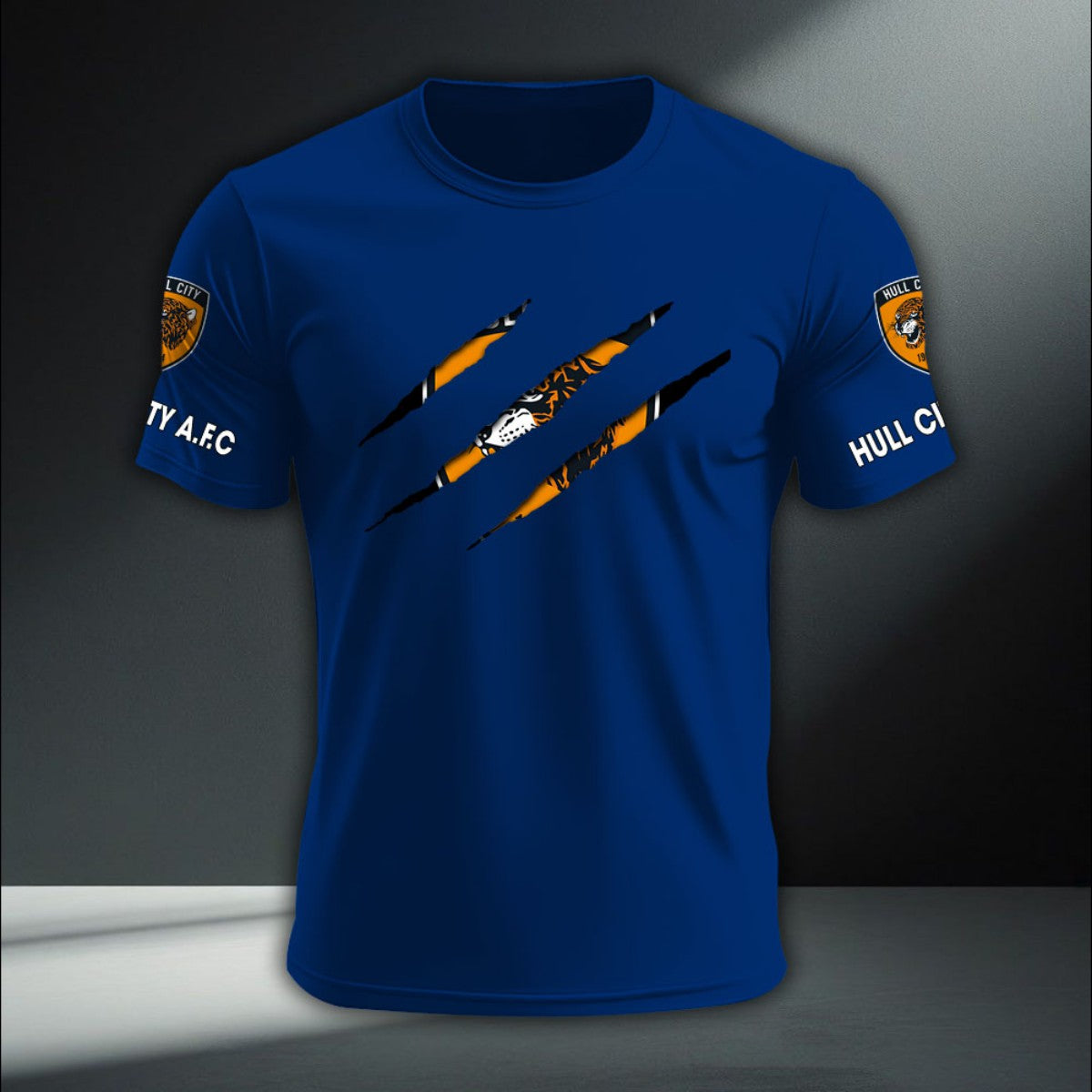 Hull City DTNA410222