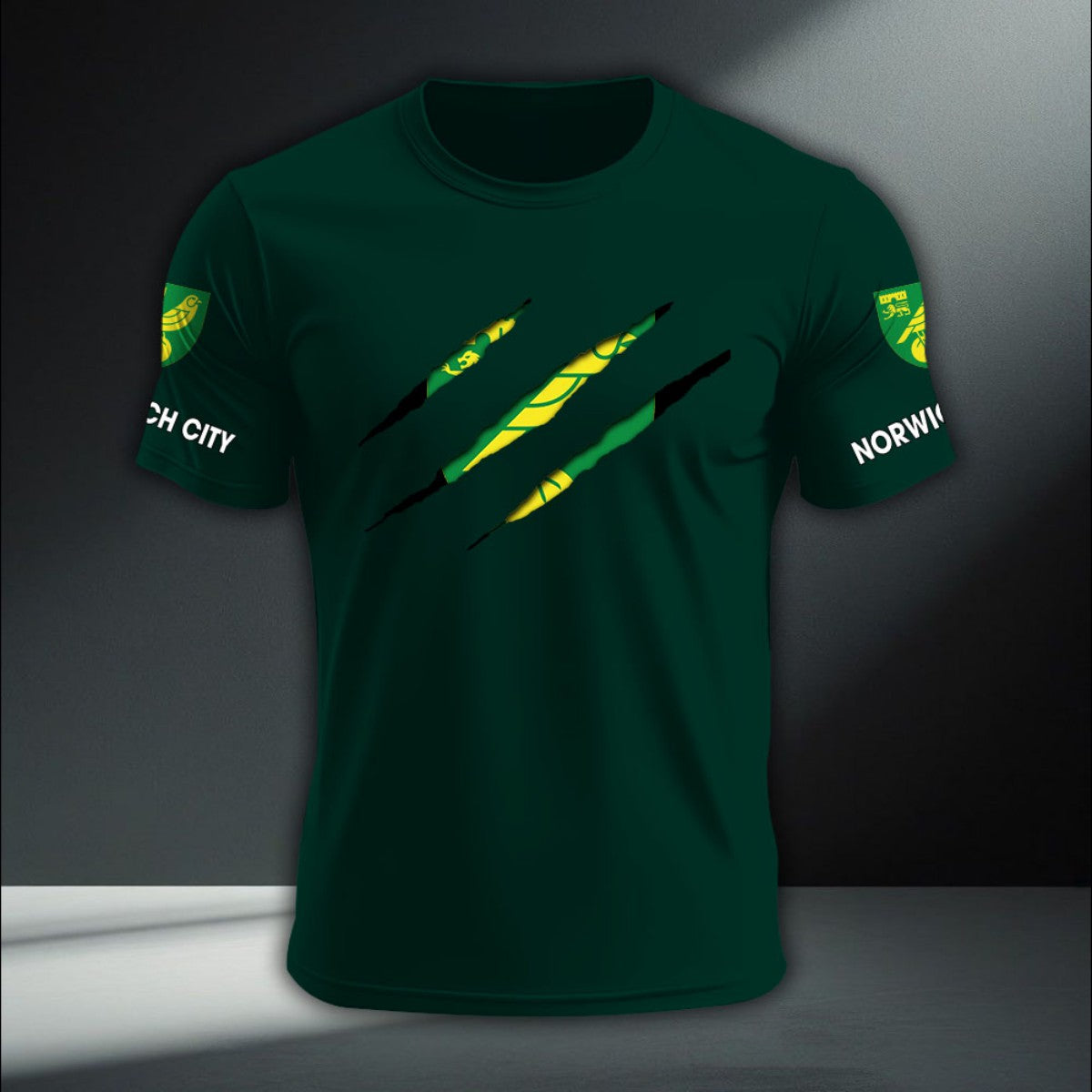 Norwich City DTNA410228