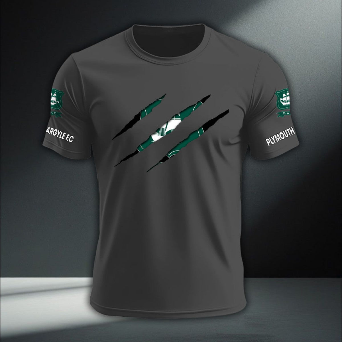 Plymouth Argyle DTNA410229