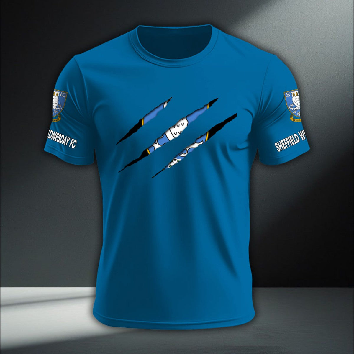 Sheffield Wednesday DTNA410233