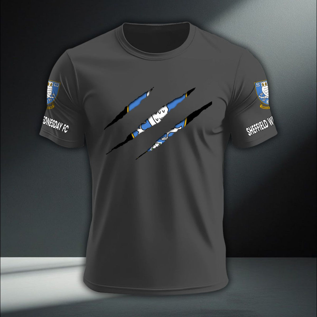 Sheffield Wednesday DTNA410233