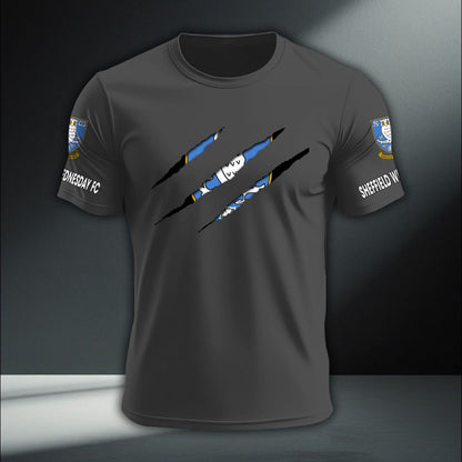 Sheffield Wednesday DTNA410233