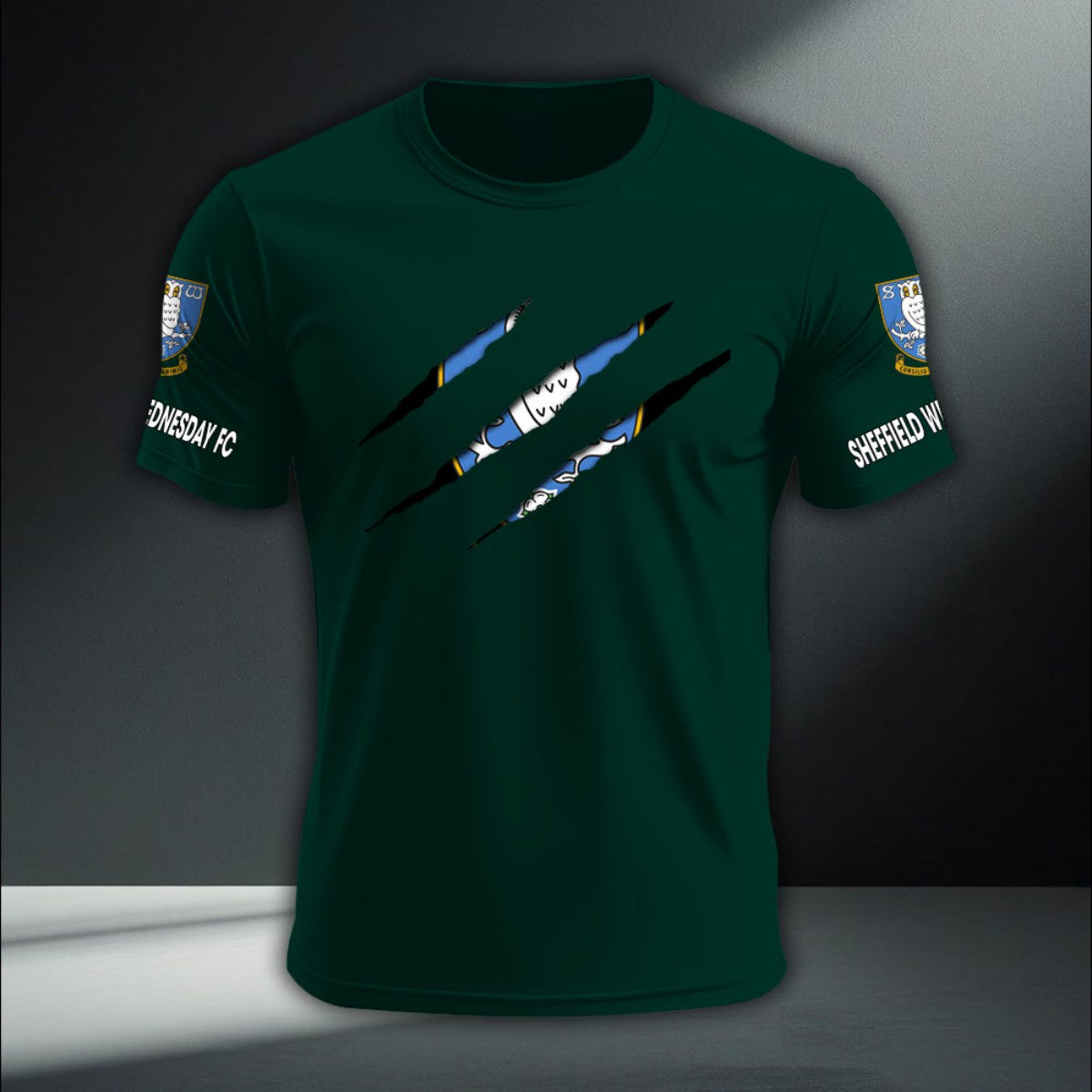 Sheffield Wednesday DTNA410233