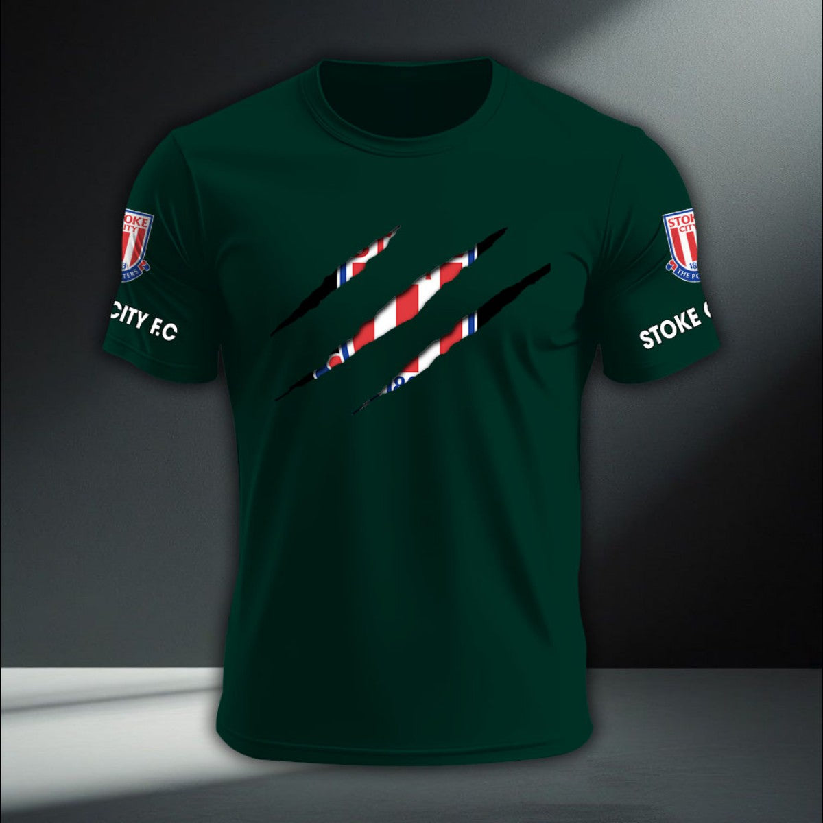 Stoke City DTNA410235