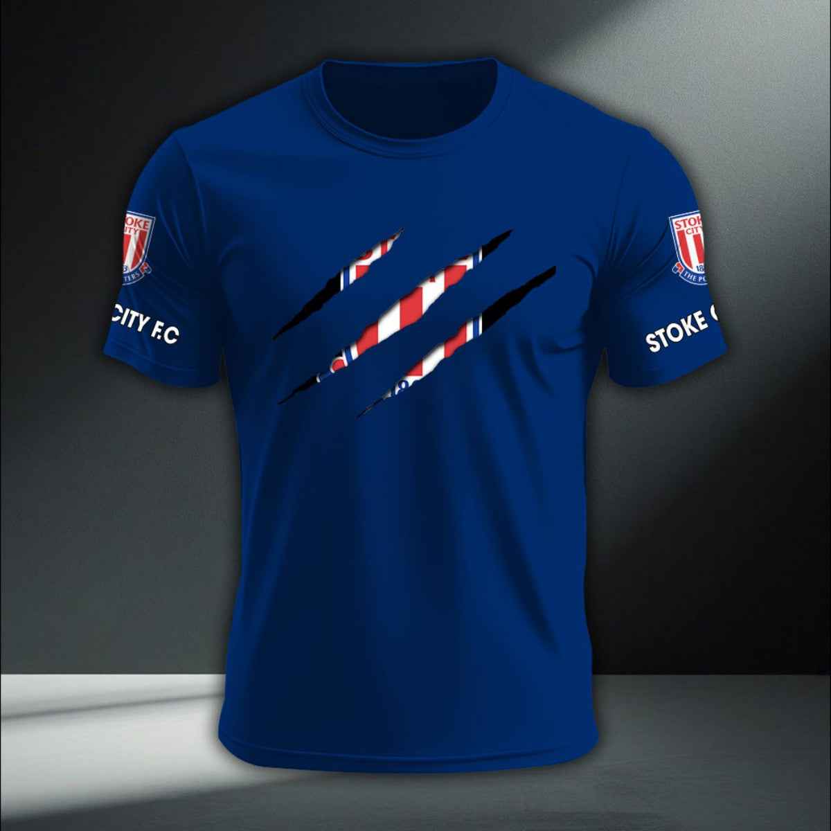 Stoke City DTNA410235