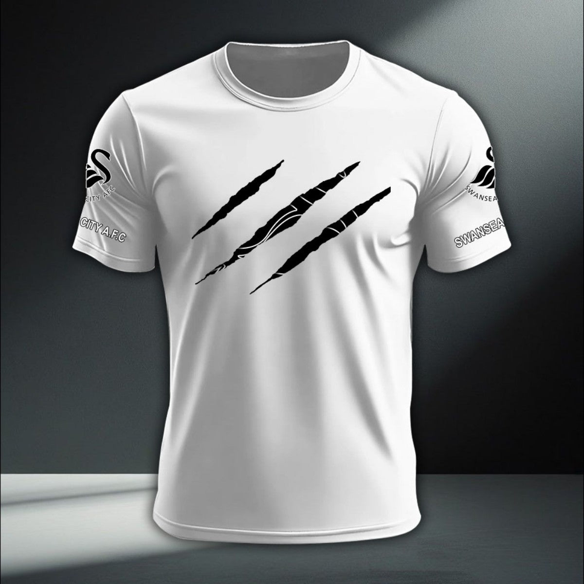 Swansea City DTNA410237