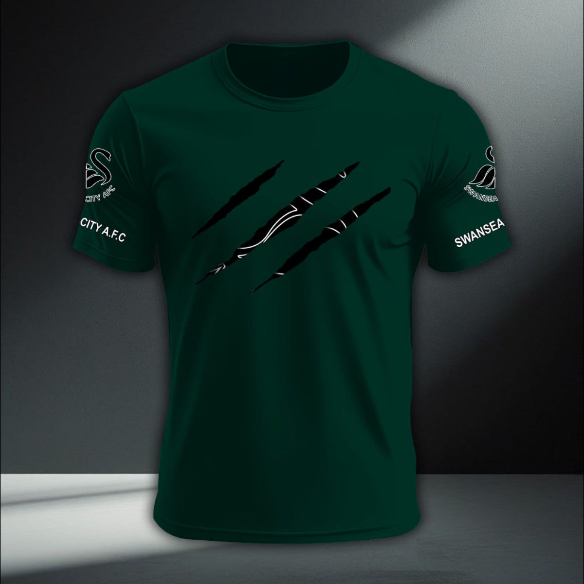 Swansea City DTNA410237