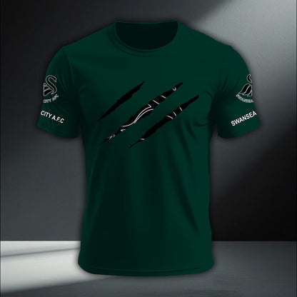 Swansea City DTNA410237