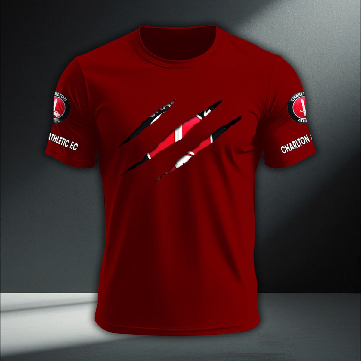 Charlton Athletic DTNA410247