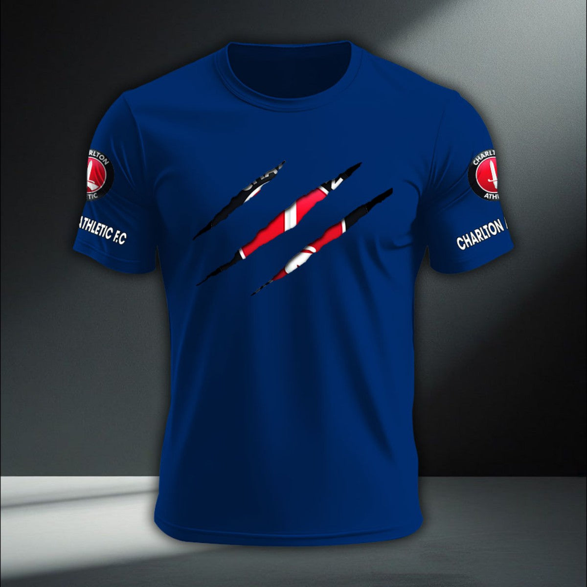 Charlton Athletic DTNA410247