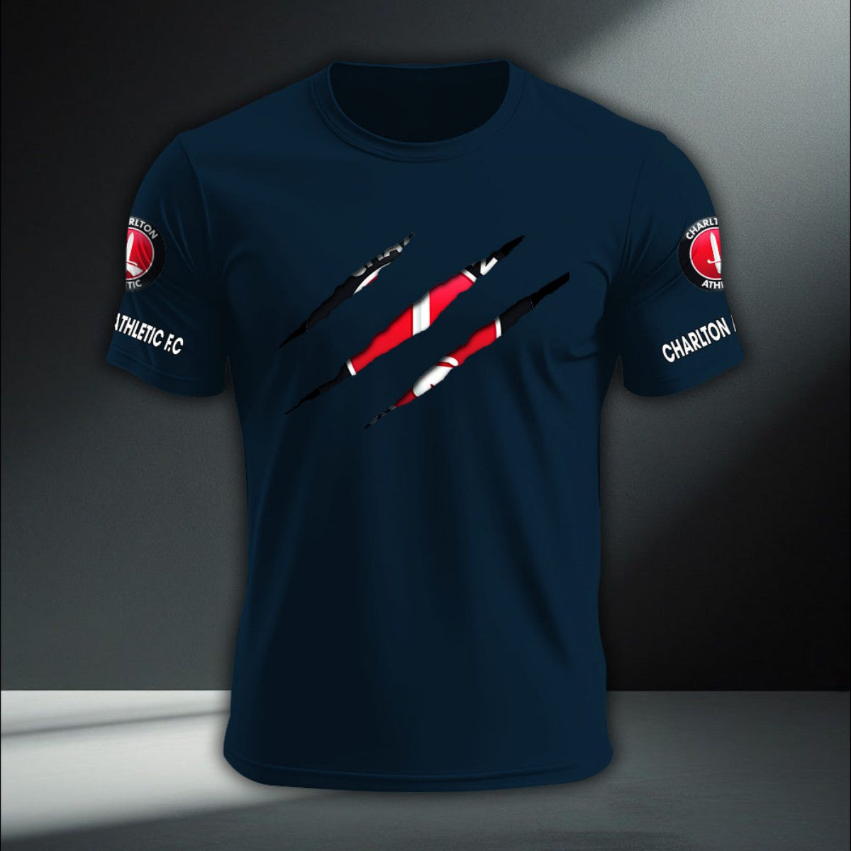 Charlton Athletic DTNA410247