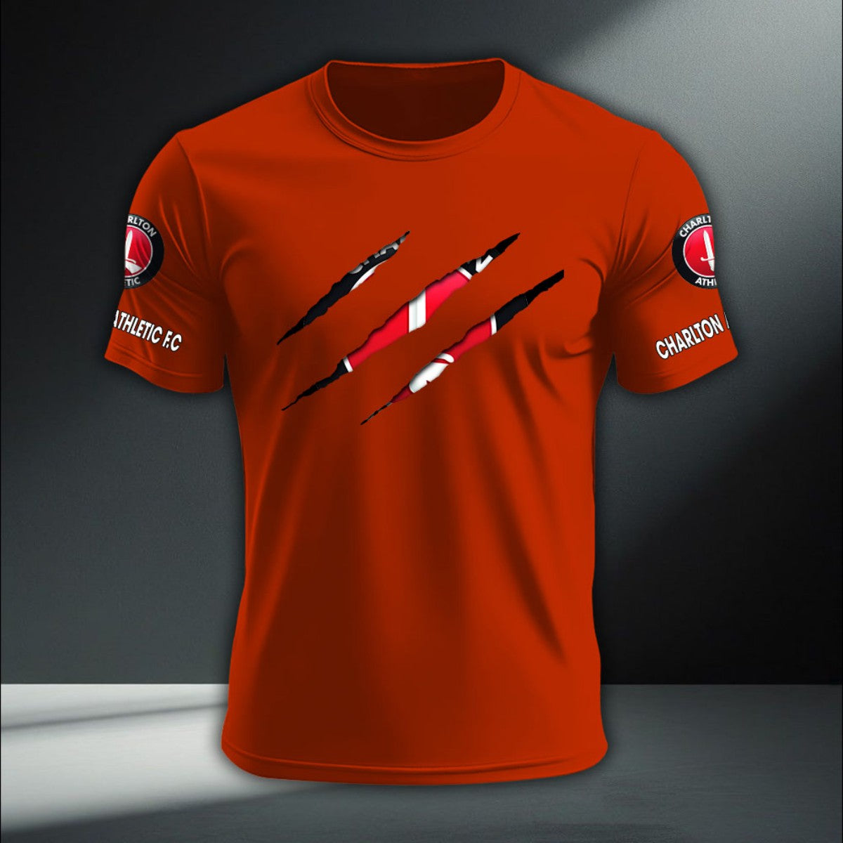 Charlton Athletic DTNA410247