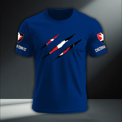 Cheltenham Town DTNA410248