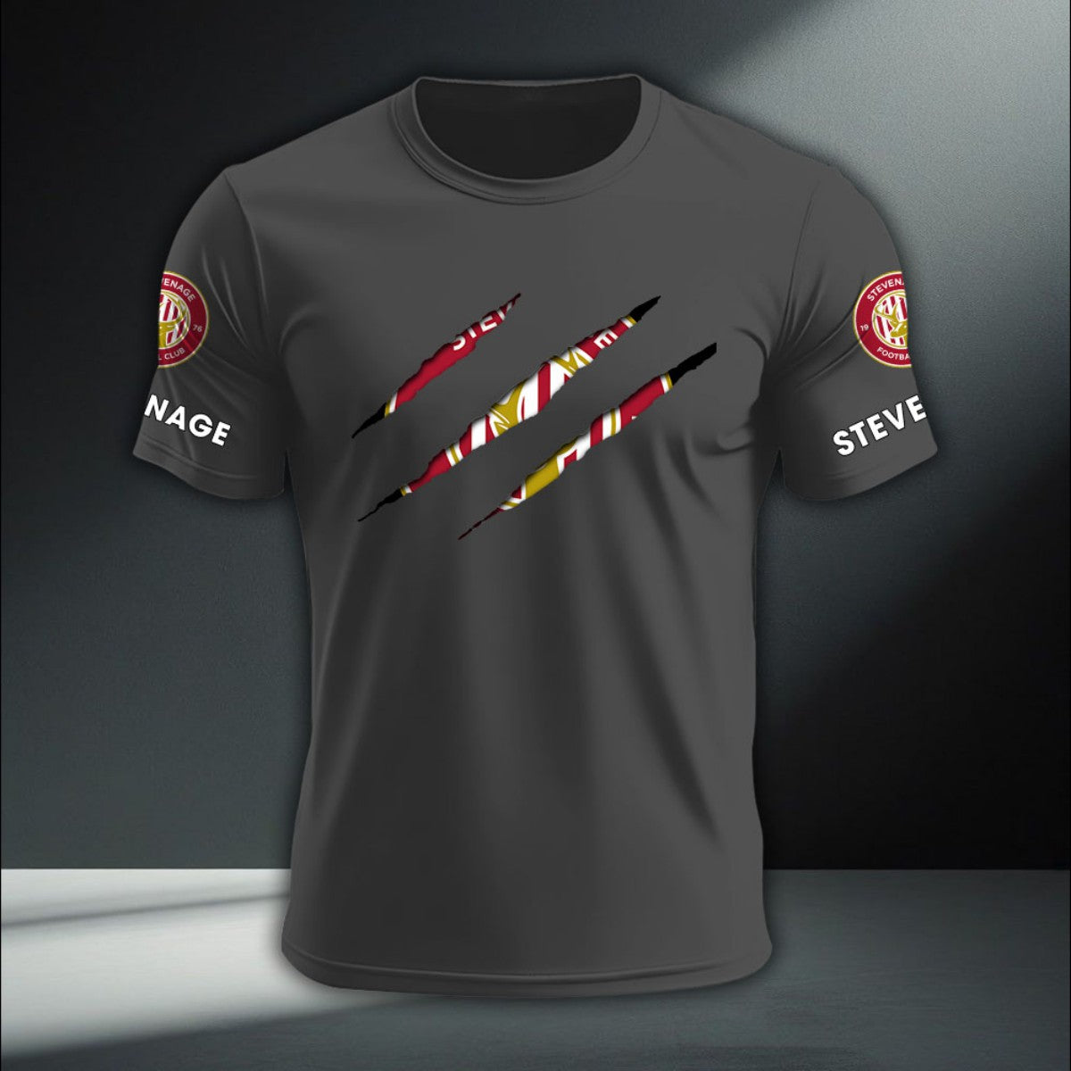 Stevenage Football Club DTNA410261