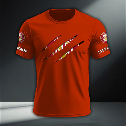 Stevenage Football Club DTNA410261