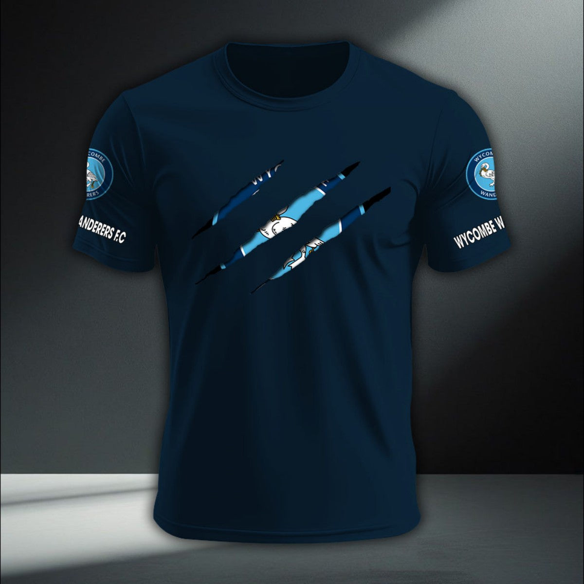 Wycombe Wanderers DTNA410263