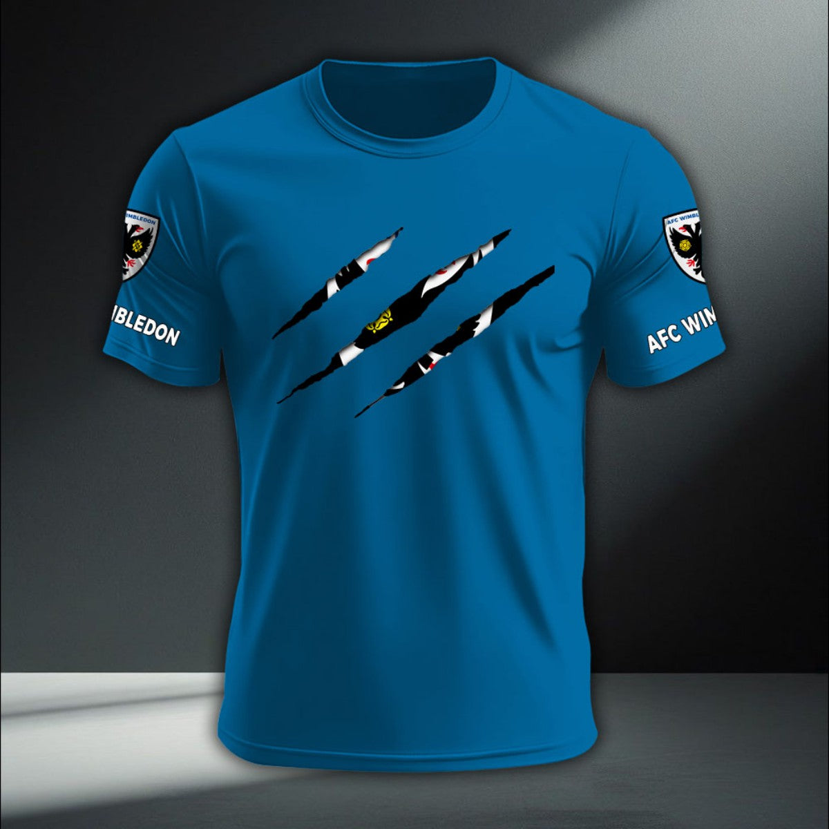 AFC Wimbledon DTNA410265