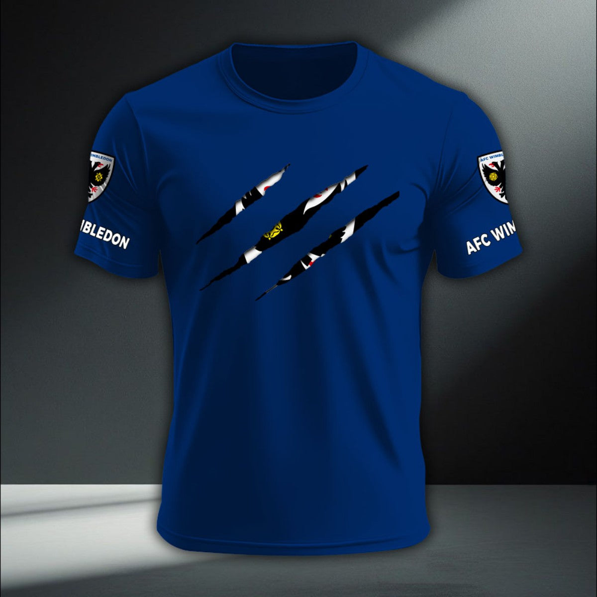 AFC Wimbledon DTNA410265