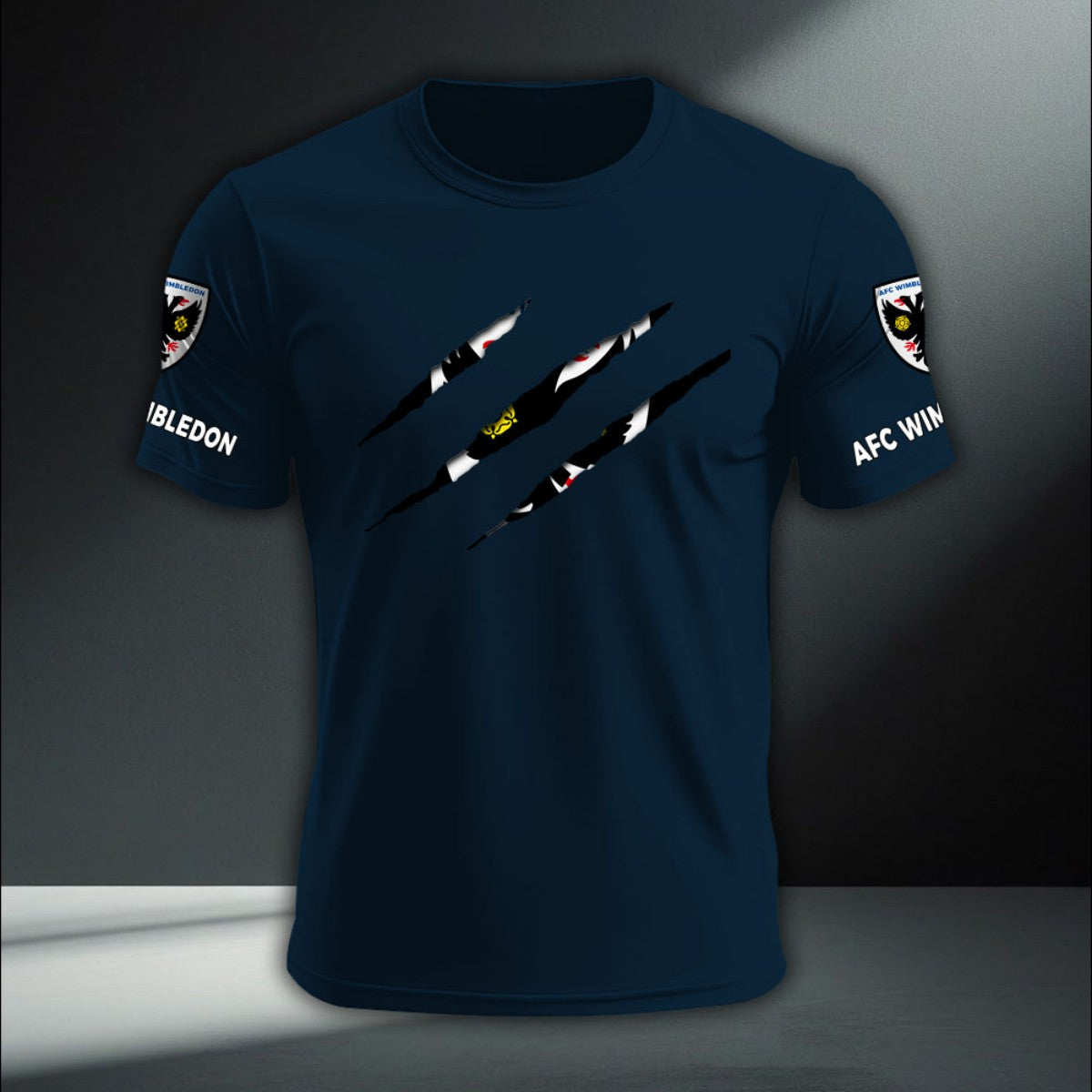 AFC Wimbledon DTNA410265