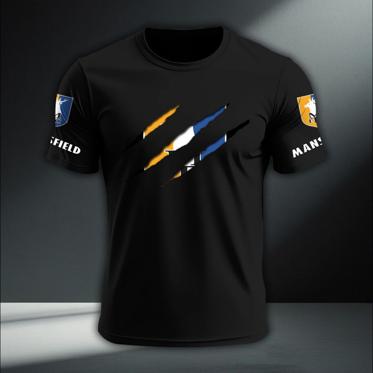 Mansfield Town DTNA410276