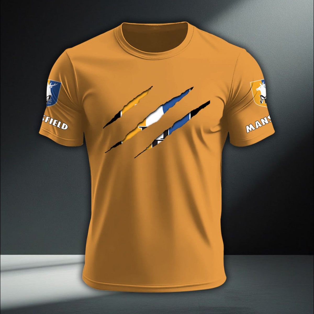 Mansfield Town DTNA410276