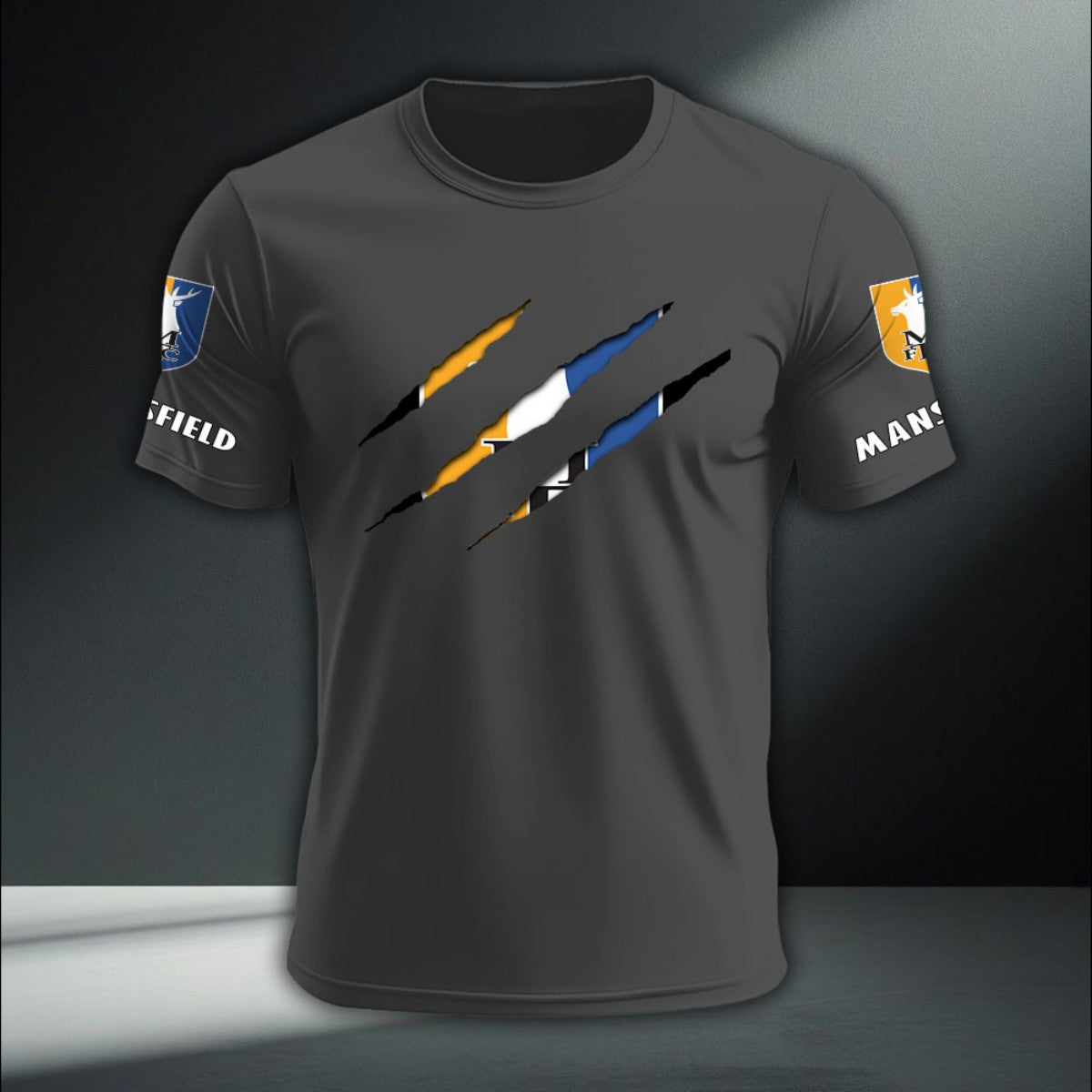 Mansfield Town DTNA410276
