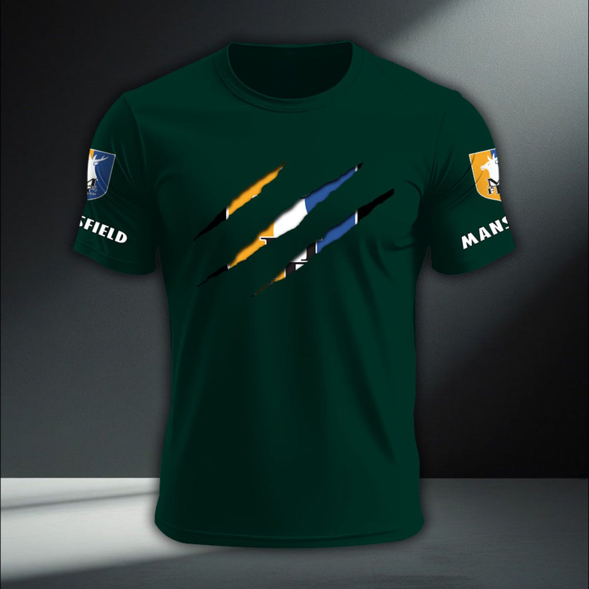 Mansfield Town DTNA410276