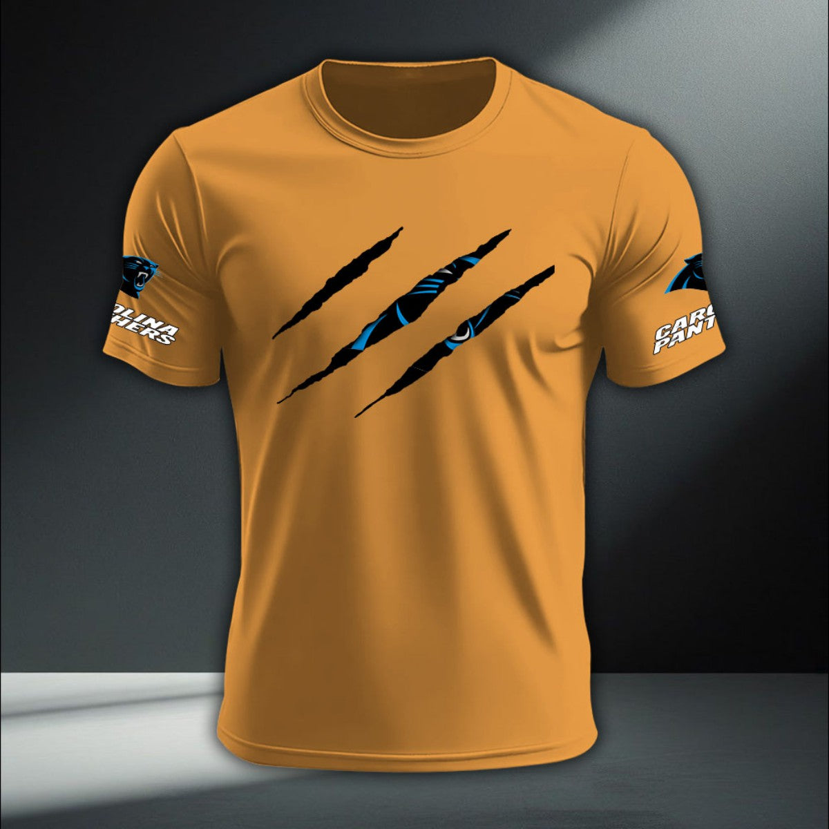 Carolina Panthers DTNA410292