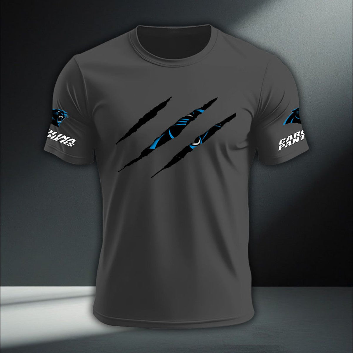 Carolina Panthers DTNA410292