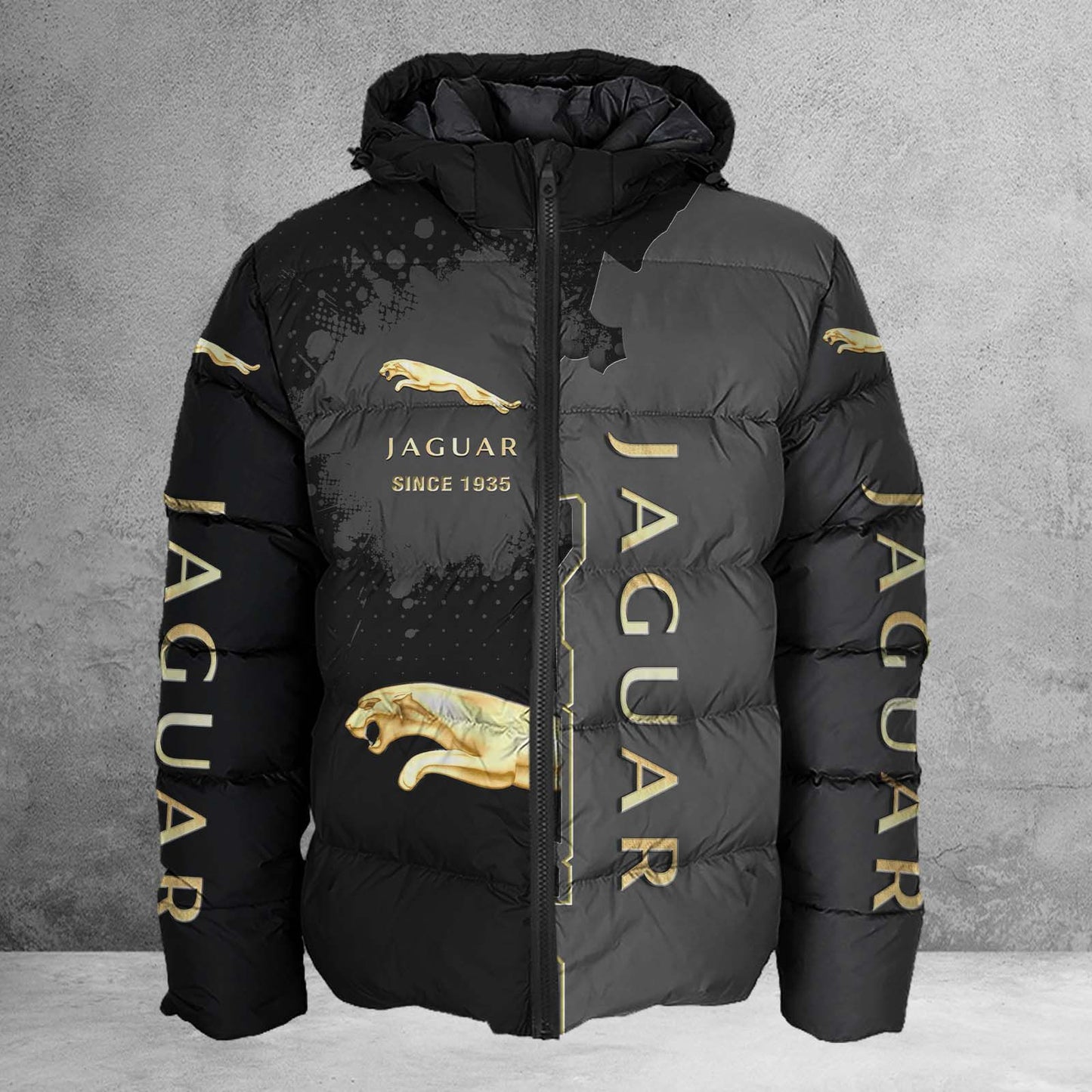 Jaguar Cars WINA24065