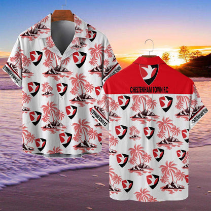 Cheltenham Town F.C WINQA11584