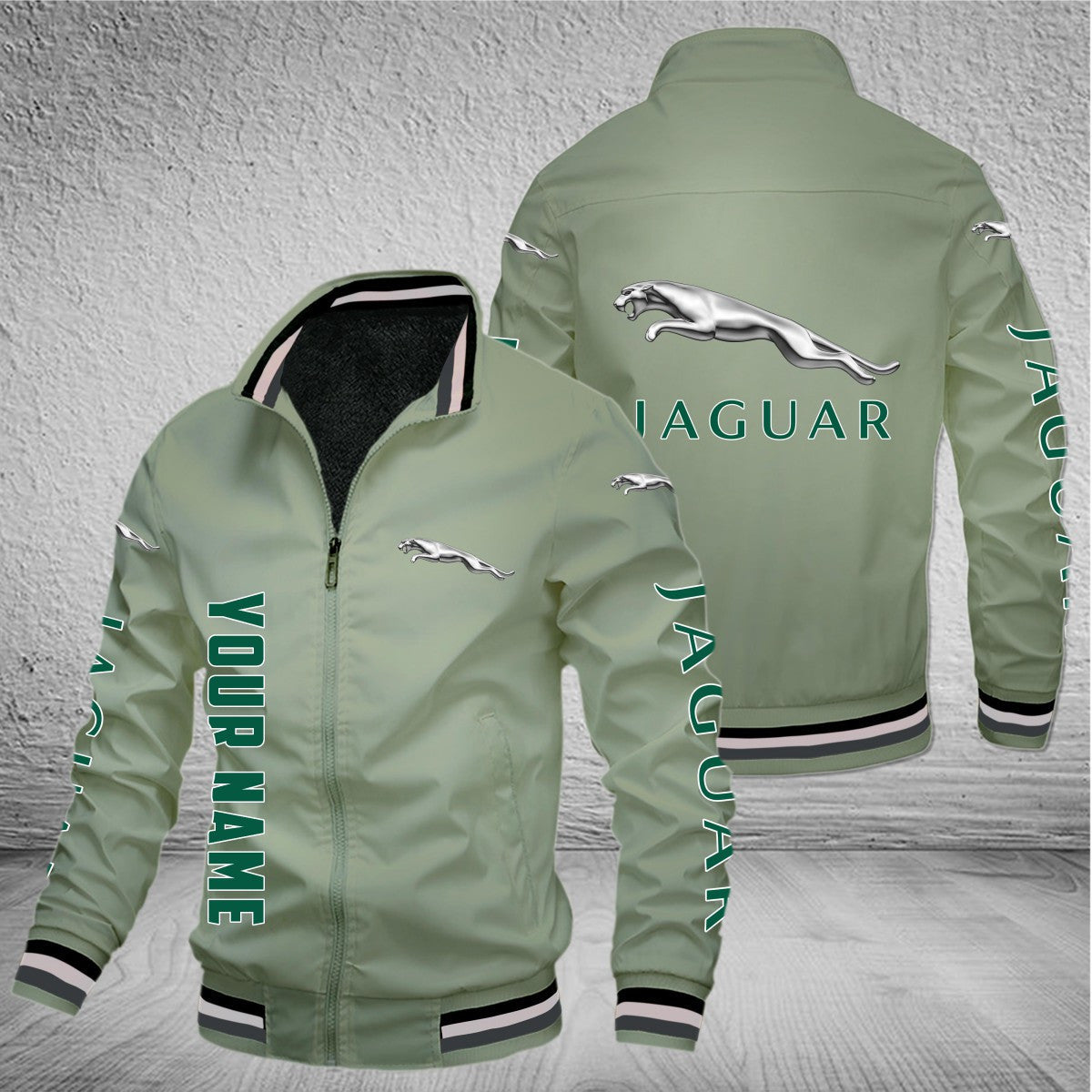 Jaguar Cars WINJB10086