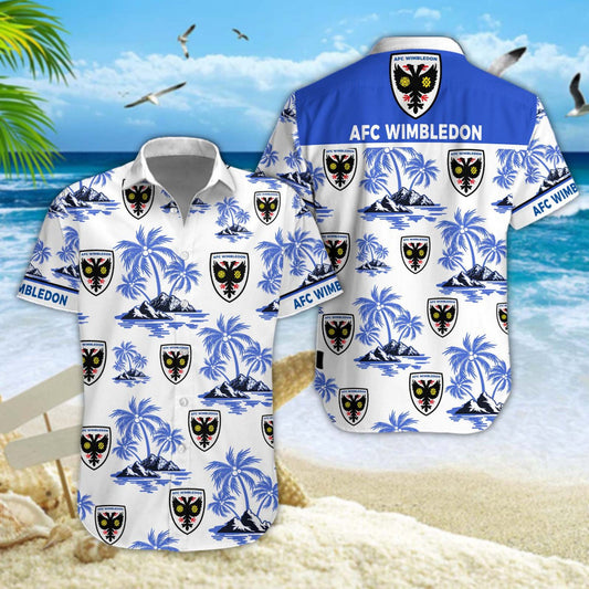 AFC Wimbledon WINQ11601