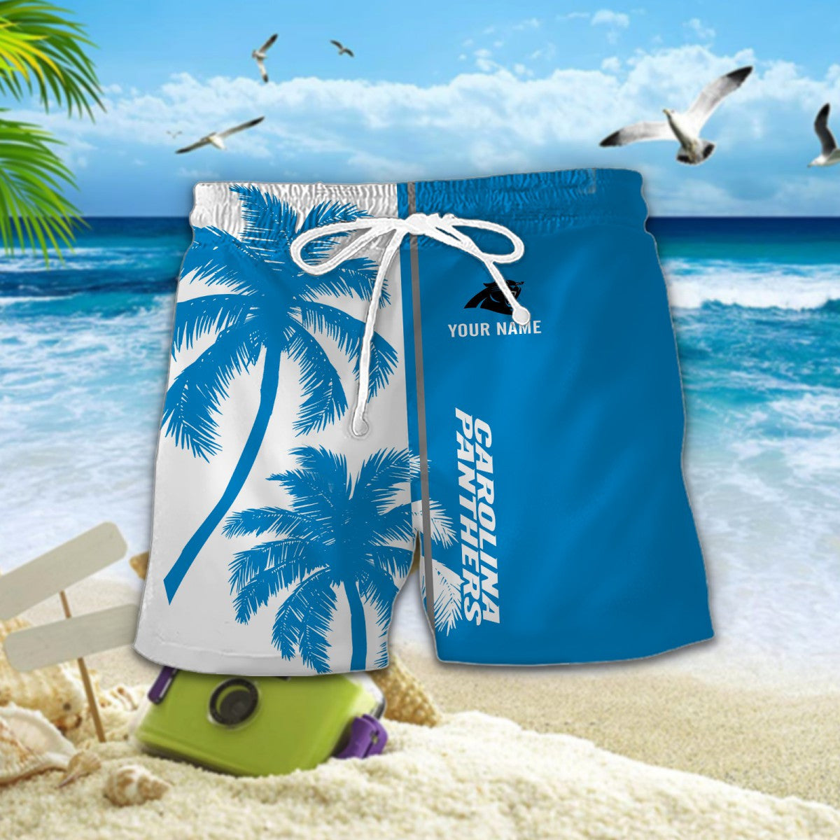Carolina Panthers WINQ90615