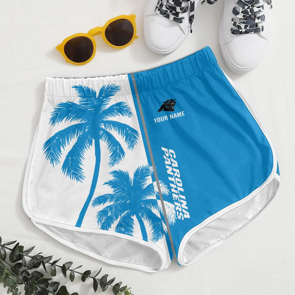 Carolina Panthers WINQ90615