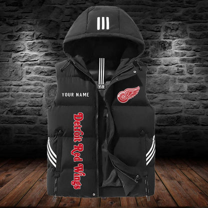 Detroit Red Wings DDQTVET10477